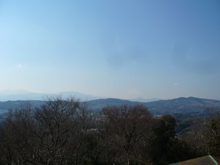 吾妻山公園から富士山が見えたのです