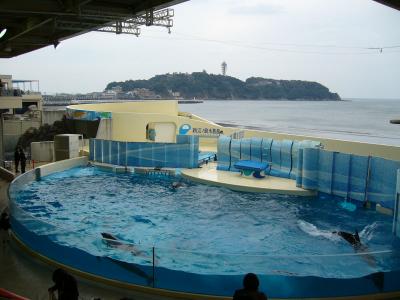 新江ノ島水族館の向こうには江ノ島が見えます